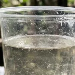 kaj-je-glavni-ulov-plastike-za-enkratno-uporabo.webp.webp