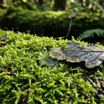 Kako poteka izmenjava zemeljskega plina kako-poteka-izmenjava-zemeljskega-plina.webp.webp